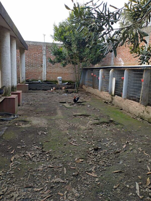 Gánate una Casa en Uruapan